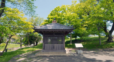 多賀城の煎茶道教室